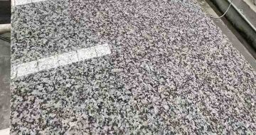 锦州 芙蓉白光面