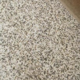 锦州 黄金麻中黄光面