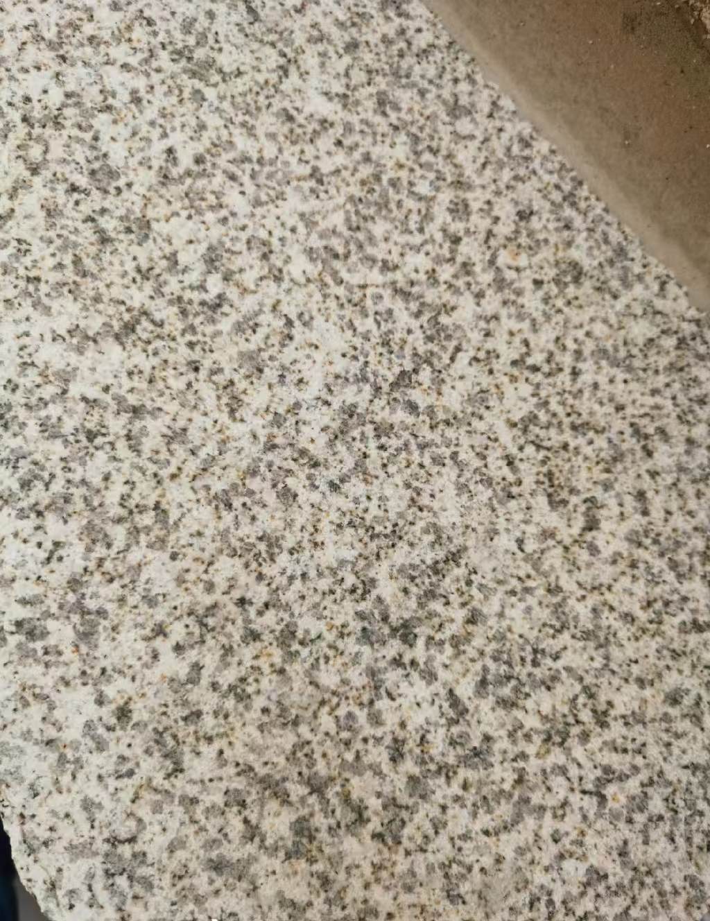 锦州 黄金麻中黄光面