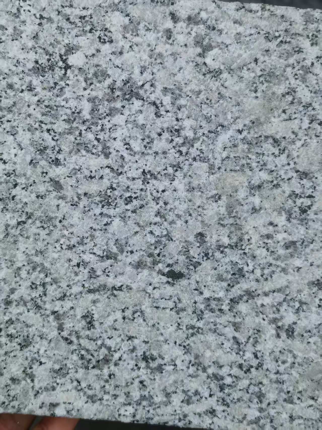 锦州 芙蓉白火烧面