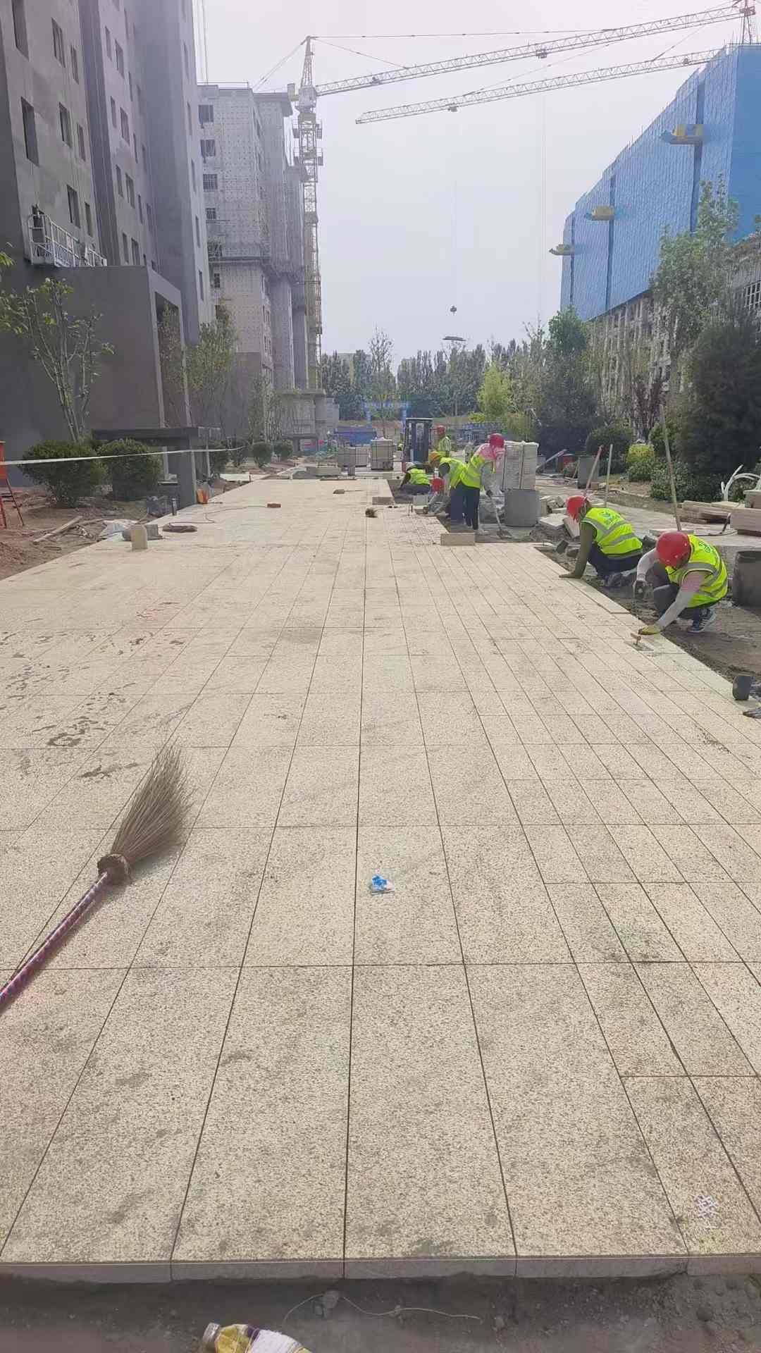 锦州黄金麻荔枝面地铺案例