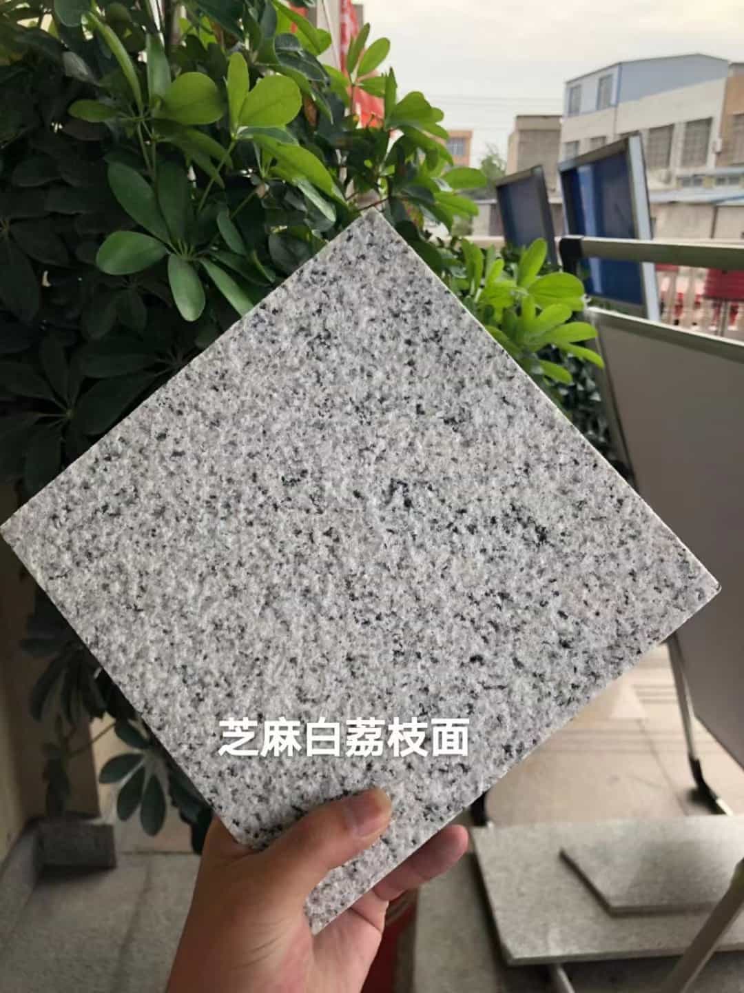 锦州 芝麻白荔枝面干挂